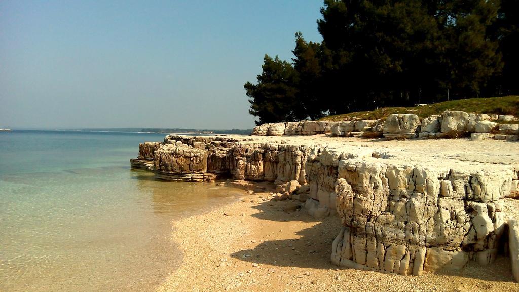 Apartment Anna Fažana Dış mekan fotoğraf
